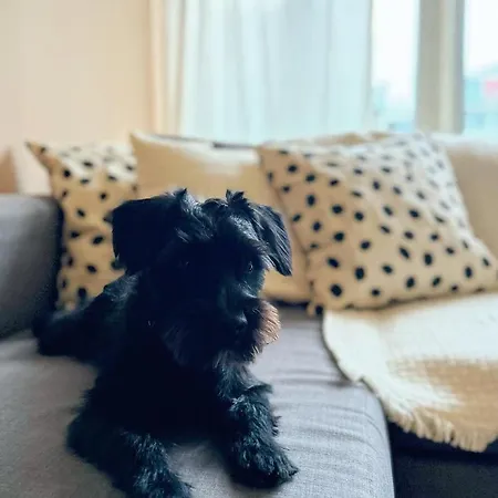 Sunset Escape * Cracovie