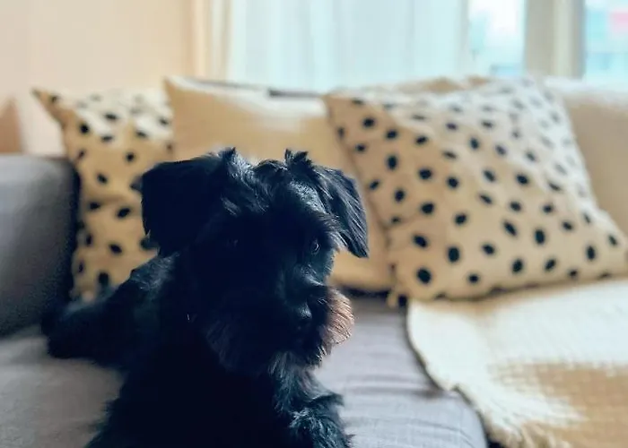 Sunset Escape * Krakau